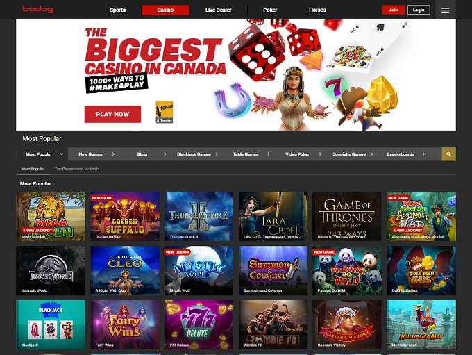 Bodog Casino HP